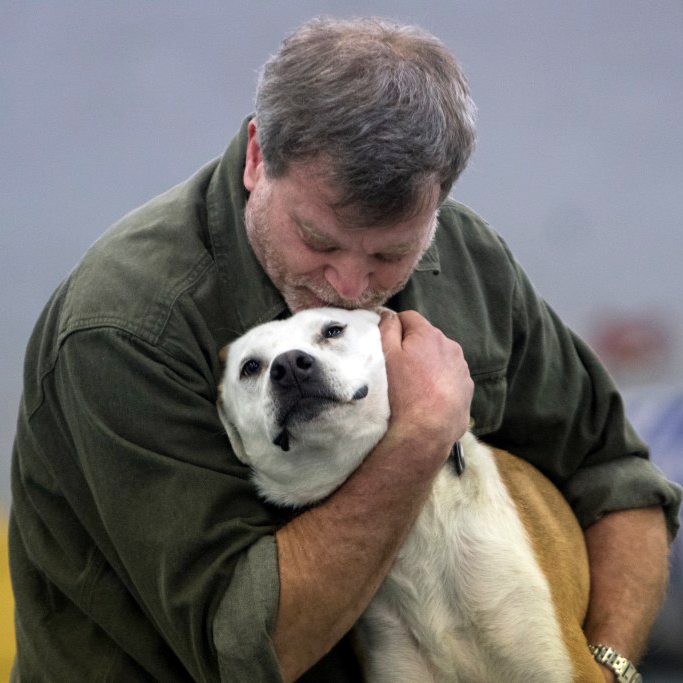 Less Heeling, More Healing Helping the Dogs in Our Lives Feel Safe, Secure, and Whole The